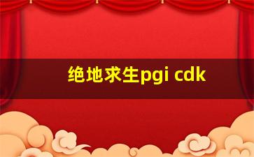 绝地求生pgi cdk